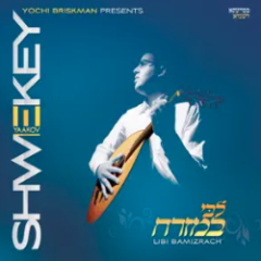 Yaakov Shwekey